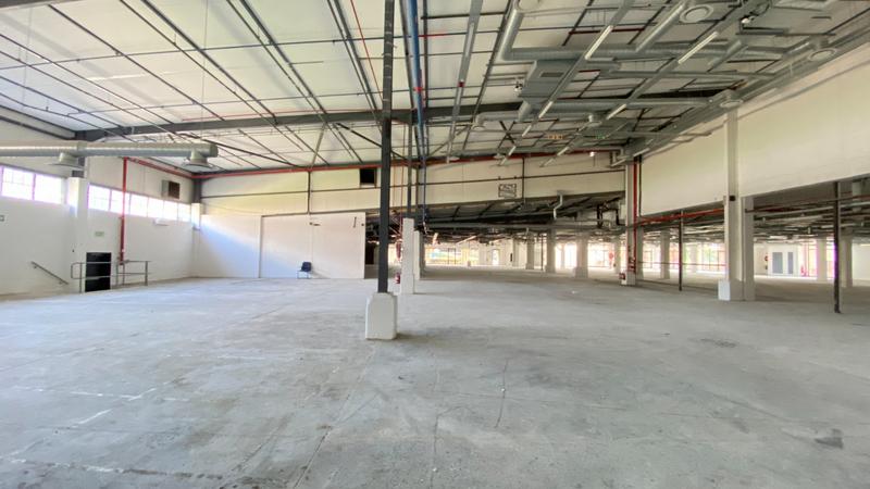 To Let commercial Property for Rent in Observatory Western Cape